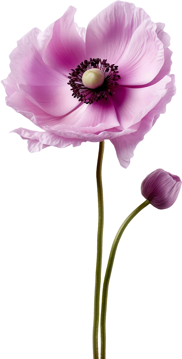 Template background image